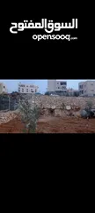  2 قطعة أرض مرتبة معمرة وجاهزة