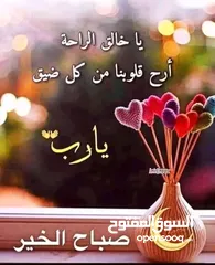  1 ارض للبيع جرش عنيبه 4600متر مفروزه بقوشان مستقل اطلاله مميزه جدا وسط الشاليهات والمزارع مسنسله