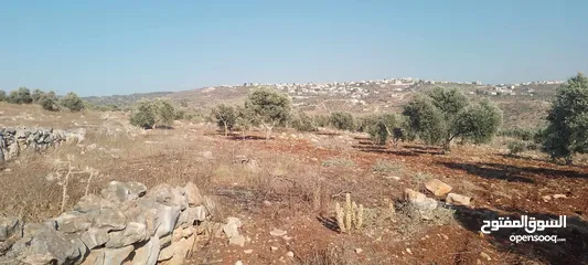  8 ارض للبيع في عربونه