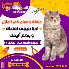  27 خدمات بيطرية متكاملة للحيوانات الاليفة