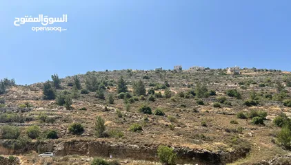  3 قطعة ارض تصنيف الف طابو في منطقة الخليل  حسكا مساحة دونم تصنيف الف طابو