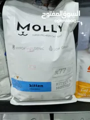  1 اكل قطط kitten molly 2k
