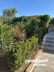 4 مزرعة 10 دونمات مع شاليه و مسبح للبيع