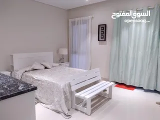  6 1 BR Amazing Furnished Studio Apartment in Jebel Sifa for Sale