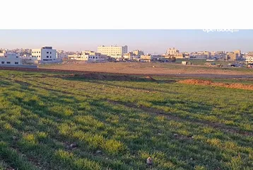  1 أرض 500 متر في ضاحية الاحسان - جاوا - منطقة فلل وقصور  خلف شارع أربعين تجاري
