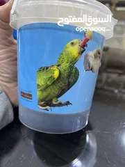  3 زق فراخ انتاج محلي أنظف من الايطالي
