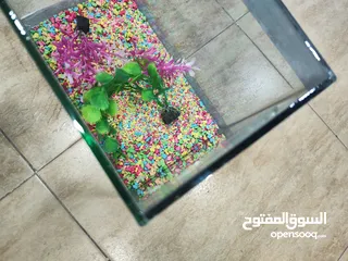  4 حوض سمك مجهز عبي مي و حط سمكاتك ، الطول 32 سم ارتفاع 23 سم عمق 21 سم