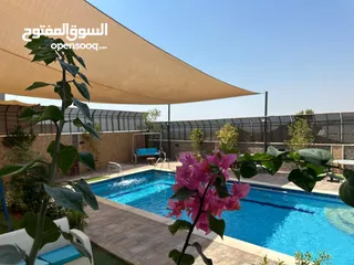  1 شاليه للايجار اليومي في الغور منطقة الروضه تم الافتتاح واسعار باذن الله مميزه