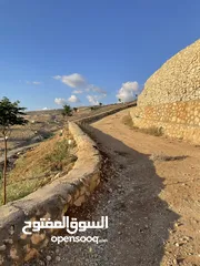  8 مزرعة في مغاريب السلط من المالك مباشرة