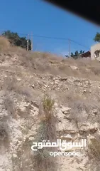  1 ابو محمد علاري