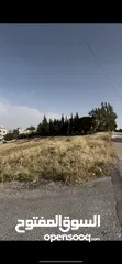  3 ارض للبيع في الحصن