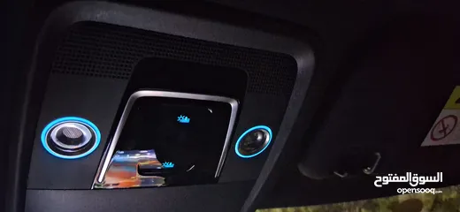  11 BYD 2023 دولفين