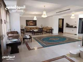  12 فيلا مفروشة سوبر ديلوكس اعلان رقم (V88)
