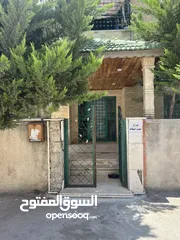  15 شقة مفروشة