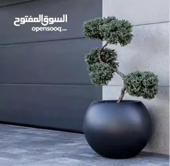  4 تفصيل قواوير فايبر جلاس بشكل عصري أنيق  زراعة وتسميد النباتات الداخلية والخارجية بإشراف مهندسين