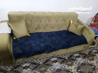  3 تخم قنفات نظيف