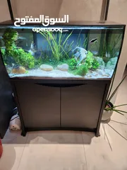  1 Fluval Flex 123 Litres Freshwater Aquarium. حوض سمك كامل مع كل اغراضه