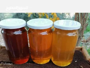  3 عسل طبيعي بلدي اصلي مضمون ومكفول 100٪؜ من مناحلنا