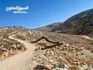  3 قطعة ارض دونم اول ديربزيع بسعر حررق للبيع