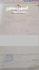 7 فرصة استثمارية ذهبية: 3 قطع أراضٍ متجاورة للبيع في بيرين القصبات بمساحة تفوق دونم ونصف