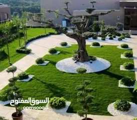  5 تنسيق الحدائق  نجيل بناء شلال نافورة باربكيو