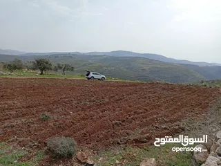  6 ارض تصنيف A للبيع مناسبه للأستثمار والسكن