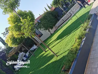  6 عشب صناعي انجيل صناعي