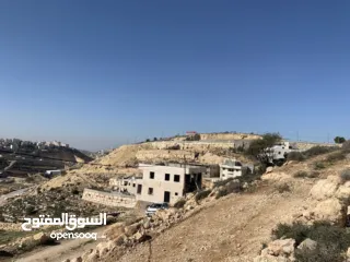  3 ارض للبيع في ابو دعجان