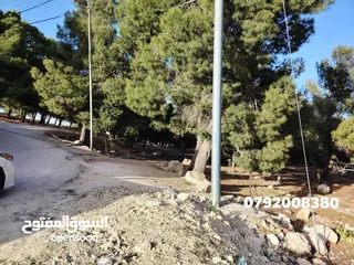  24 فرصه للشراء ارض مشجره جاهزه داخل التنظيم ومخدومه شارع معبد خدمات كامله ومطله