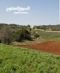  6 قطعة أرض 9 دونم مرتفعة ومطلة في محافظة عجلون / عين جنا بسعر مميز
