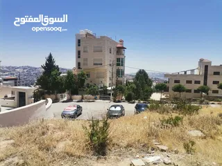  1 قطعة ارض تصلح للفلل والاسكانات ( موقع مميز / سعر مغري )