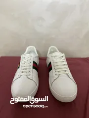  7 Gucci shoes