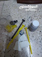 6 طائر كوكتيل للبيع