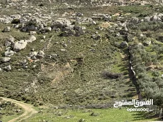  24 ارض للبيع قرمية حسبان 3100 متر لكامل القطعة قابل للأقساط