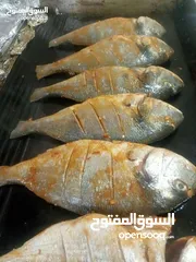  25 شيف طباخ شرقي وغربي وسلطات ابحث عن عمل خبره في الاكل العربي ابحث عن عمل