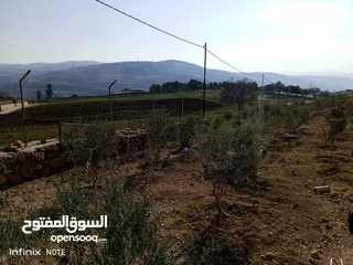  1 مزرعه للبيع جرش منطقه الكته حوض ودعاني الشرقي