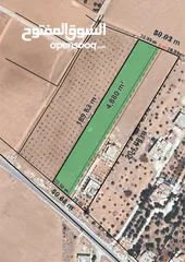  2 أرض للبيع بمساحة 5 دونمات تقريبا ( 4880m² ) في مدينة المفرق ، منشية بني حسن