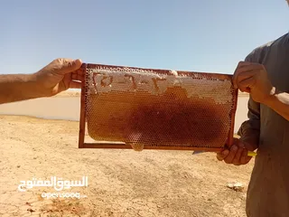  1 عسل طبيعي اصلي