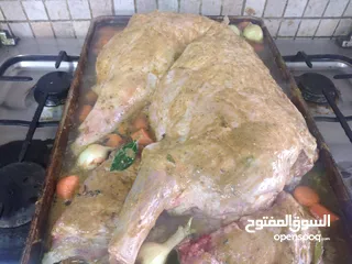  12 شيف طباخ شرقي وغربي وسلطات ابحث عن عمل خبره اكثر من 15سنه في فندق القدس وفندق جراند بلاس عمان