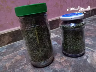  3 سعتر عماني اصلي