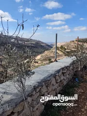  1 700 متر للبيع غرب حلحول