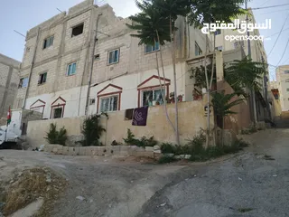 1 بيت للبيع ابو عليا