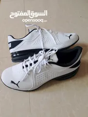  18 حذاء .Puma  اصلي بحال الوكاله لساته جديد وارد أروبي  الواحد ب 35