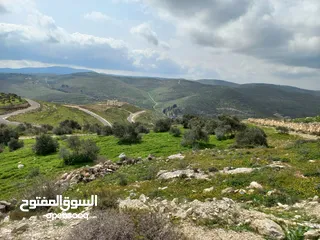  2 ارض مميزة 5 دونمات باجمل مواقع بيت امرين على قمة جبل كوشان طابو