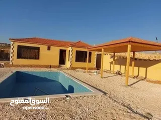  21 جميع الاشجار المثمرة والزينه  تنسيق وزراعة الحدائق الخارجيه والداخليه  صيانة الحدائق وتشكيل الأشجار