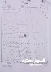  2 قطعة ارض ضمن اراضي اربدة بلدة هام باطلاله جميله على شارع اربد الدائري شارع ال 100