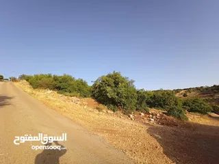  2 أرض متعددة الاستخدامات في أجمل مناطق عجلون