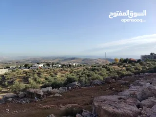  26 فرصه للشراء ارض مشجره جاهزه داخل التنظيم ومخدومه شارع معبد خدمات كامله ومطله