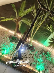  1 سكوتر a12 classic 8 tev