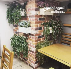  2 محل للخلو عند الاكاديمية